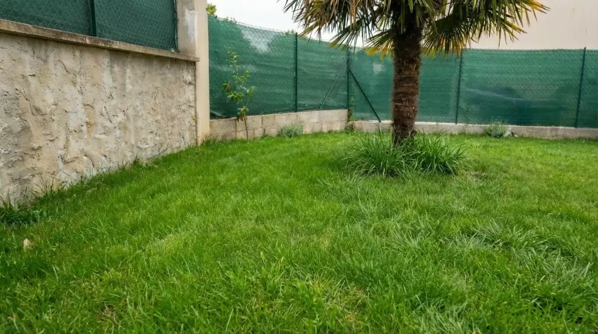 Après Transformation
